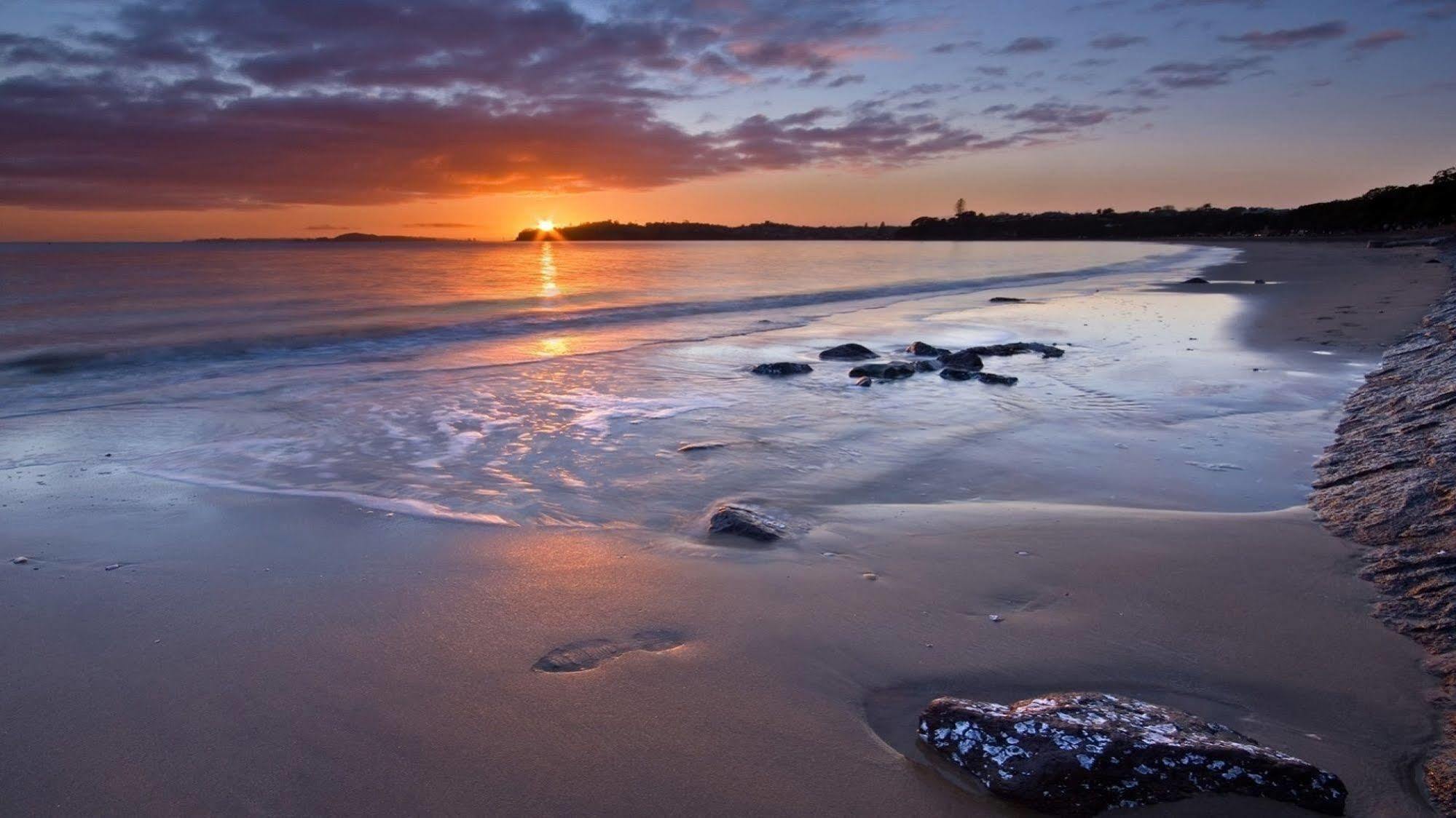 Kohimarama Beach Bed & Breakfast - Style And Privacy In Superb Location Auckland Eksteriør billede